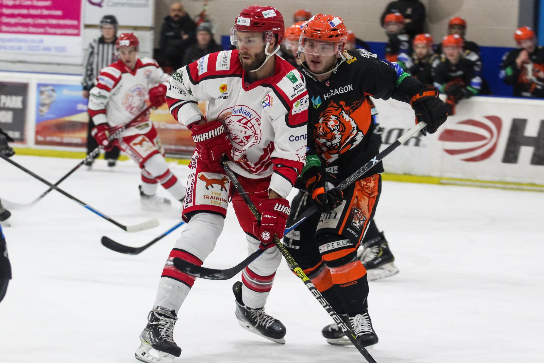 In Town Tonight – Telford Tigers 19 March 22